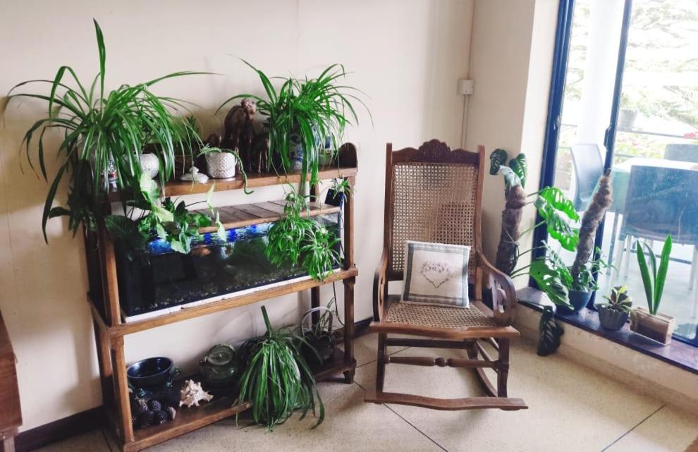 Lake Breeze Nuwara Eliya Zewnętrze zdjęcie