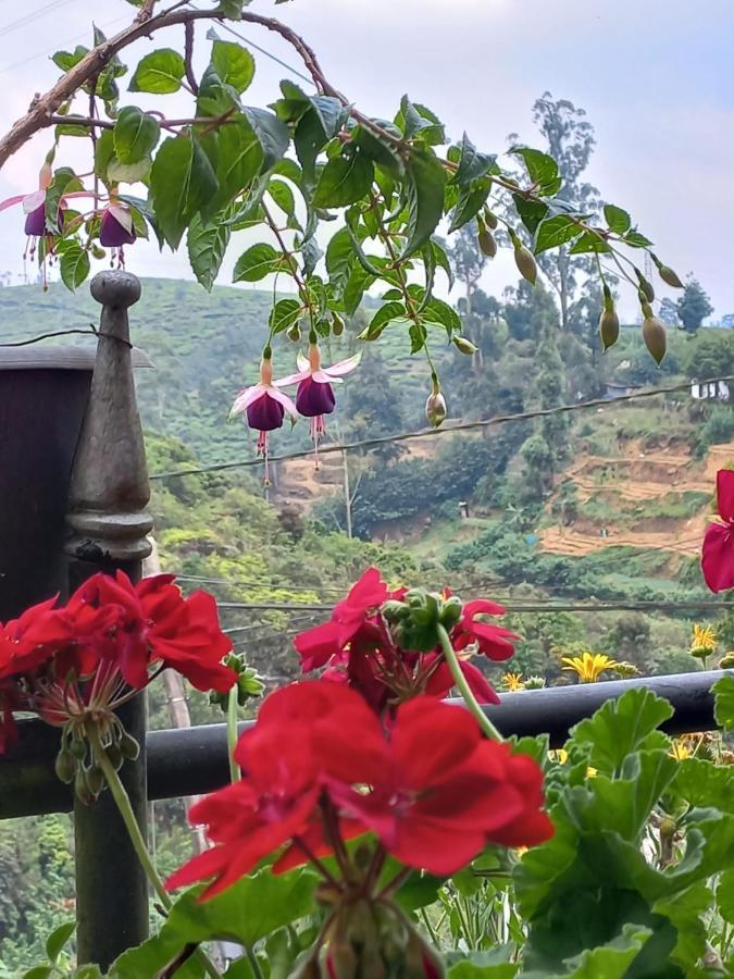 Lake Breeze Nuwara Eliya Zewnętrze zdjęcie